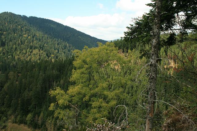 Kniebis 2009 Bild 30